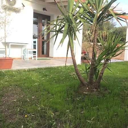 La Fragola In Campagna 6 K M Da San Pantaleo Hotel Exterior foto