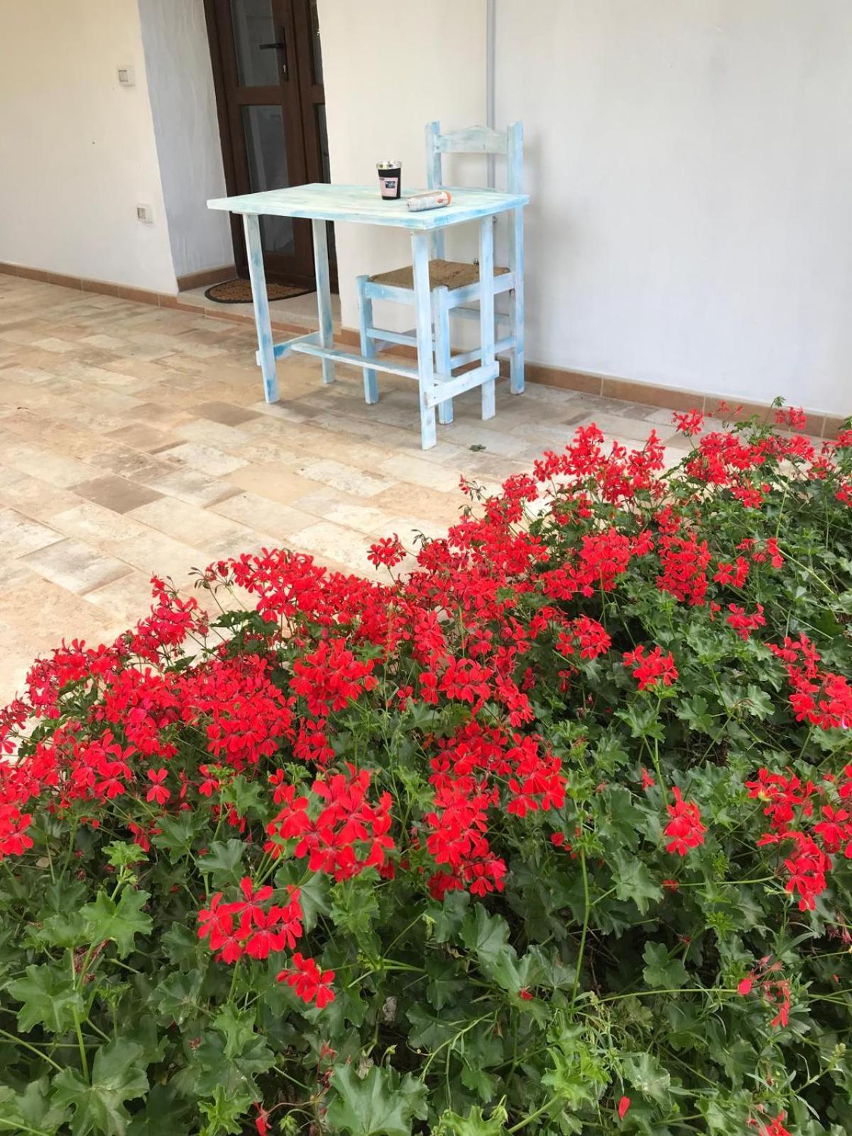 La Fragola In Campagna 6 K M Da San Pantaleo Hotel Exterior foto