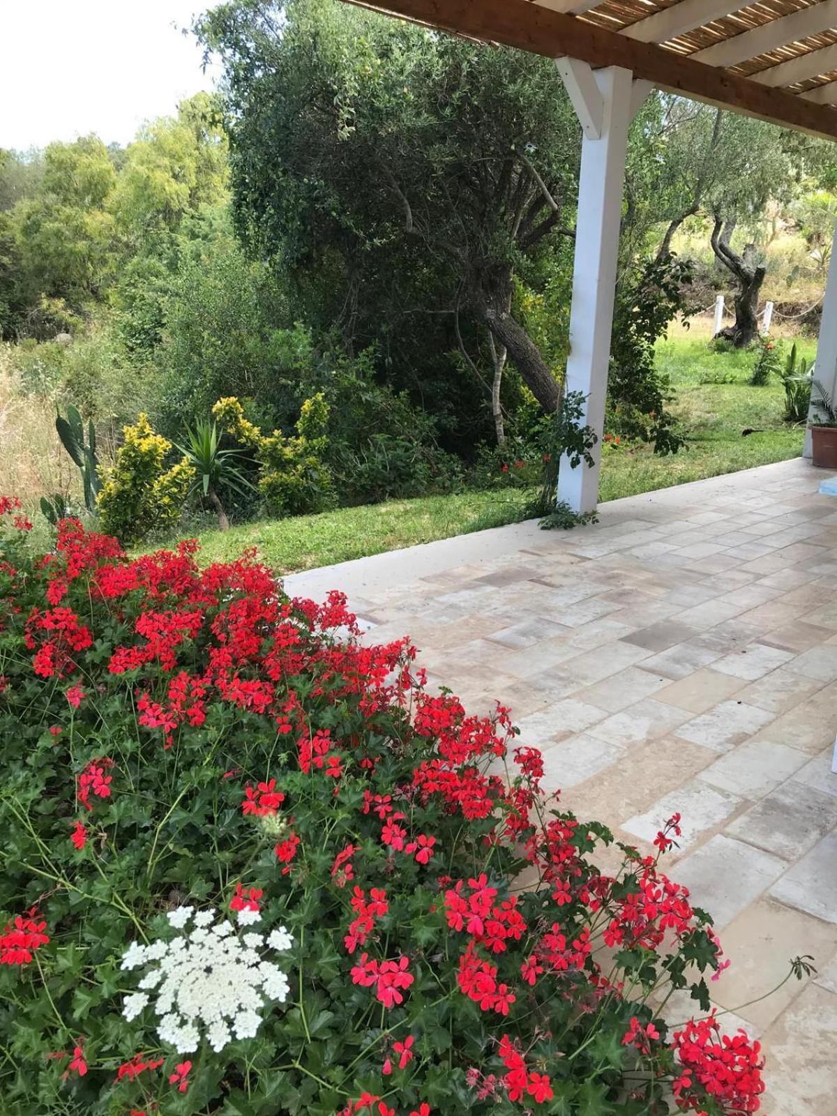 La Fragola In Campagna 6 K M Da San Pantaleo Hotel Exterior foto