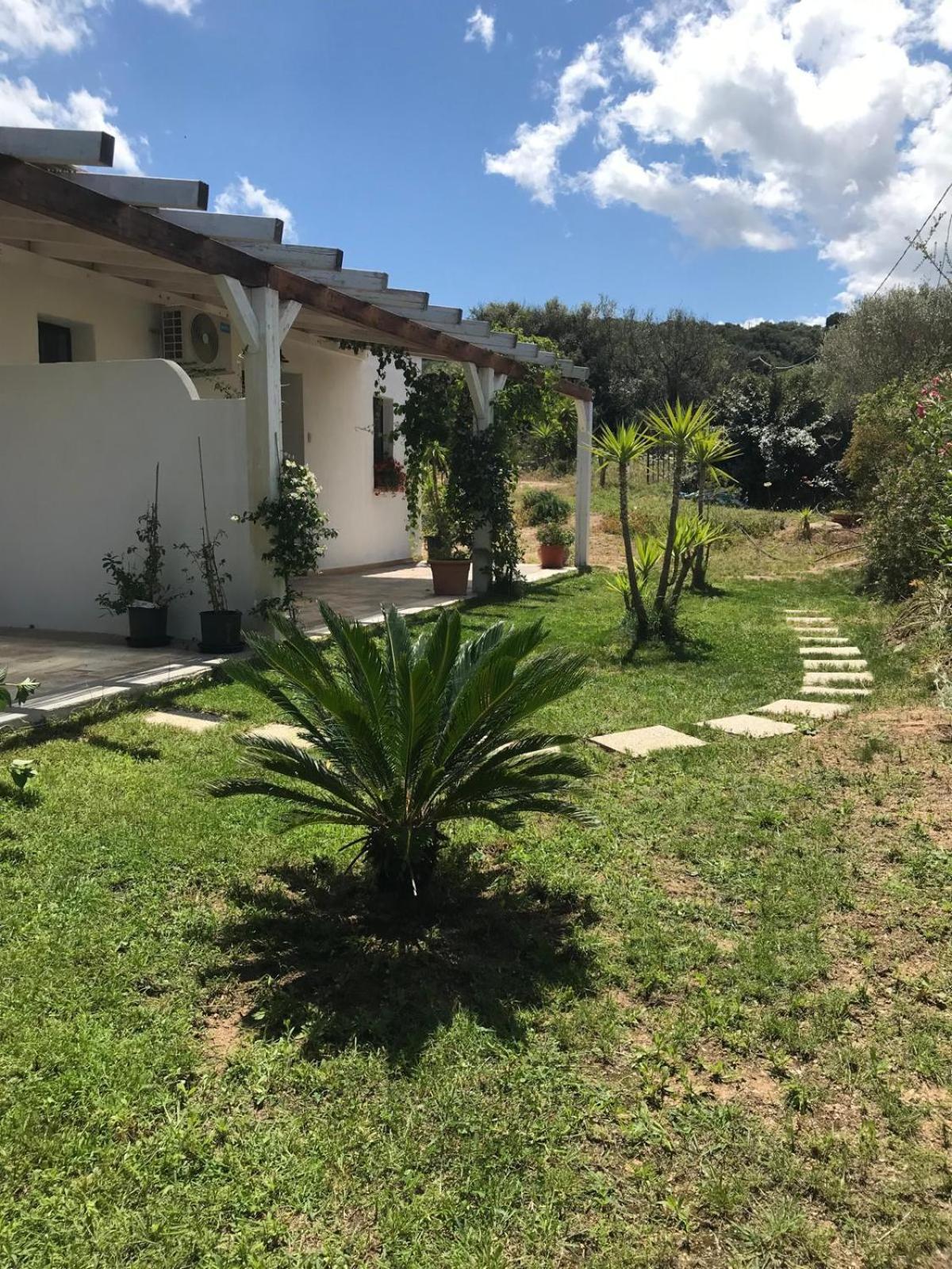 La Fragola In Campagna 6 K M Da San Pantaleo Hotel Exterior foto