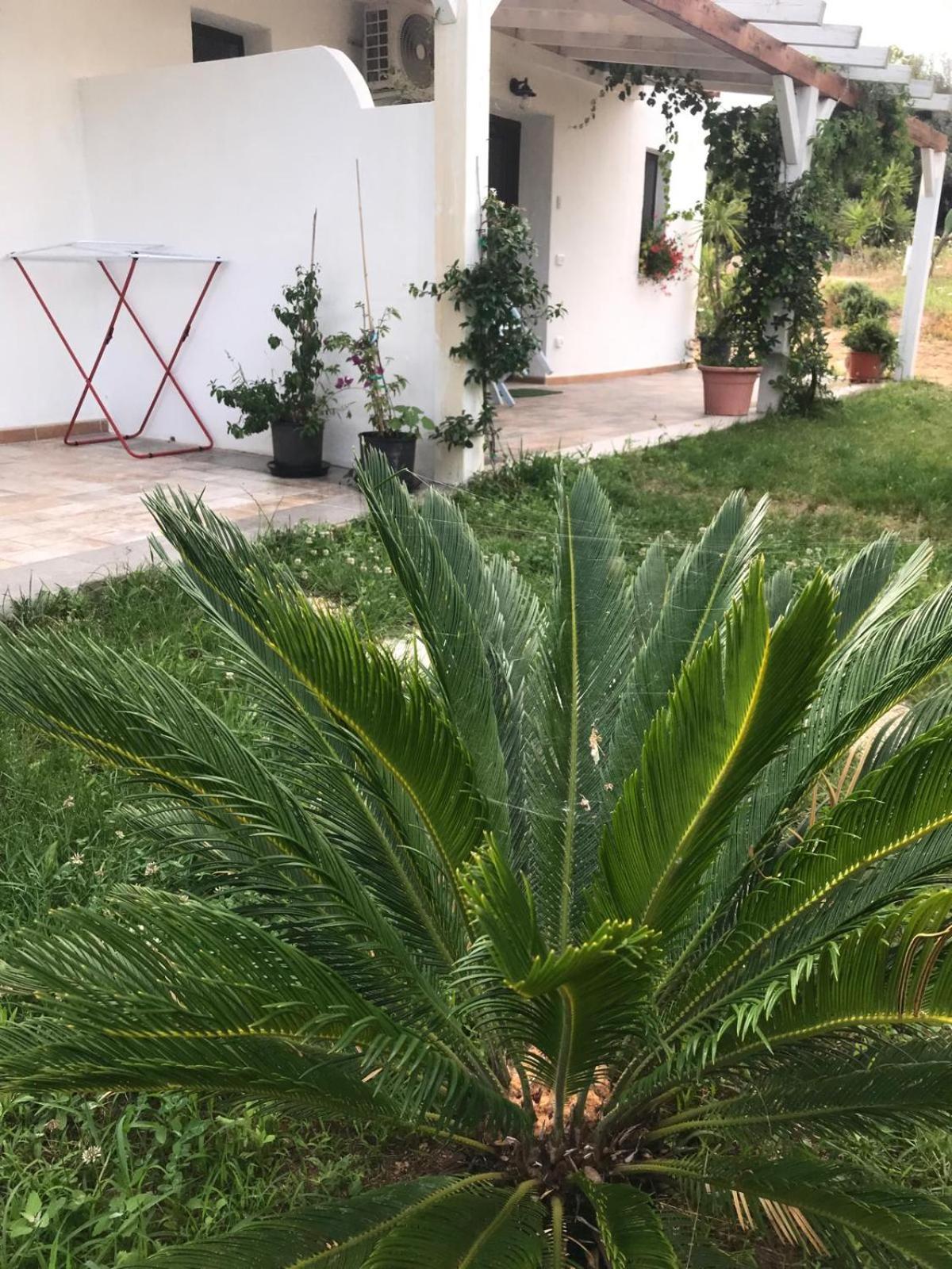 La Fragola In Campagna 6 K M Da San Pantaleo Hotel Exterior foto